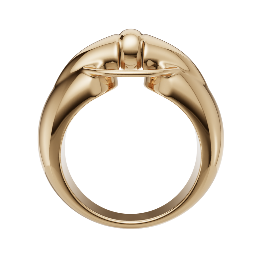 CONTROL RING